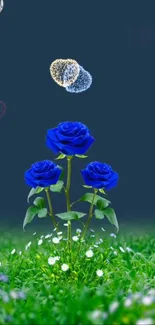 Blue roses under a starry night sky with green grass and daisies.