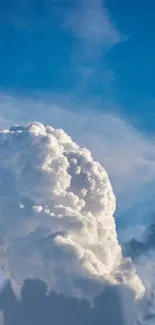 A serene scene of fluffy white clouds set against a vibrant blue sky.