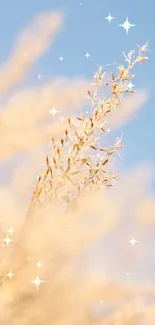 Golden wheat with blue sky in background, minimalist phone wallpaper.