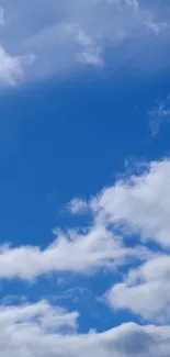 A bright blue sky with fluffy white clouds.