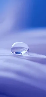 Serene water droplet on light blue background wallpaper.