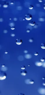 Serene blue water droplets on a calming background.