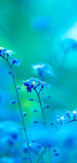 Blue wildflowers on a blurry green background, creating a serene mobile wallpaper.