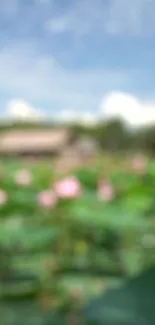 Blurred green nature wallpaper with pink flowers and a clear sky.