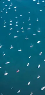 Aerial view of boats on turquoise water.