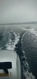 Boat leaves a wake in serene gray water.