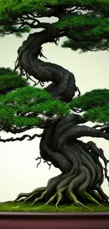 Elegant bonsai tree with lush green foliage and artistic twisted trunk.