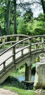 A serene wooden bridge surrounded by lush green trees and foliage.