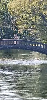 Peaceful bridge over water in lush, green setting for mobile wallpaper.