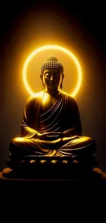 Serene Buddha with radiant golden halo.