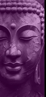 Buddha statue in purple tones, serene and calming.