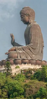 Serene Buddha statue on greenery with blue sky backdrop.