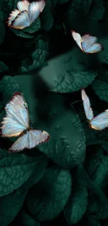 Butterflies resting on lush green leaves wallpaper.