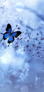 Blue butterfly on cherry blossoms in a serene setting.