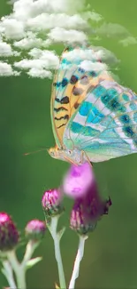 Butterfly on flowers with cloudy sky background in vibrant colors.