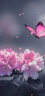 Pink butterfly above flowers on a gray backdrop.