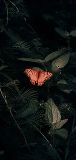 Orange butterfly resting on green leaves.