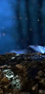 Blue butterflies resting on a textured surface in a dark, starry setting.