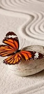 Orange butterfly resting on a smooth stone in a zen garden.