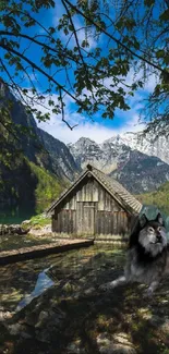 Wooden cabin and wolf in mountain landscape