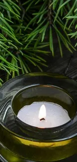 A serene candle surrounded by pine branches on a wooden surface.