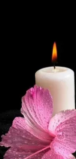 Elegant candle with pink flower on dark background.