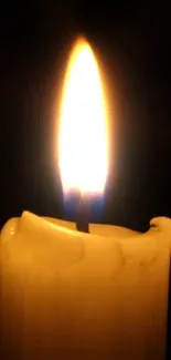 A glowing candle flame on a dark background.