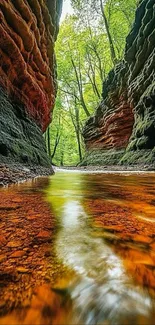 Serene view of a lush canyon river landscape.