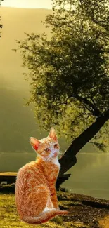 Ginger cat sitting by a tranquil lake with golden hues and lush greenery.