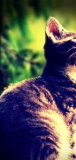 Serene cat sitting in vibrant green setting, looking upwards.