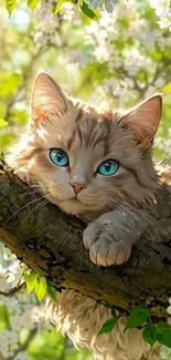 Cute cat lying on a tree branch with spring blossoms.