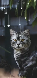 Grey cat sitting under stars with green leaves.