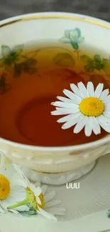 Chamomile tea with daisy floating in vintage cup.