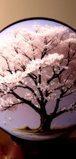 Cherry blossom tree in a glass globe on light purple background.