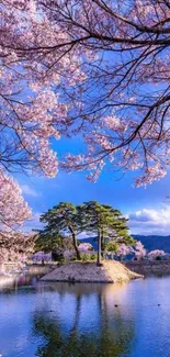 Cherry blossoms reflected in a serene lake.