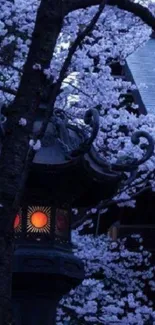 Japanese lantern and cherry blossoms at night.