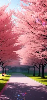 Serene cherry blossom path with pink trees in full bloom.