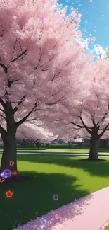 Cherry blossom path with lush grass and clear sky.