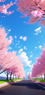 Mobile wallpaper of a cherry blossom lined road under a bright blue sky.