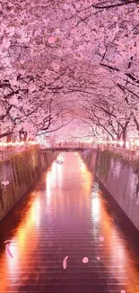 Serene cherry blossom pathway over a tranquil river.