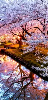 Cherry blossom trees reflecting on calm water, capturing serene beauty.