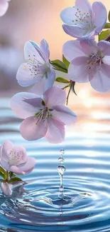 Cherry blossoms reflected in rippling water, creating a serene scene.