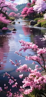 Cherry blossom-lined stream with pink flowers.