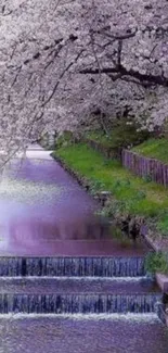 Serene cherry blossom stream with cascading water and pink blooms.