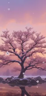 Beautiful cherry blossom tree with soft pink flowers and a sunset sky.