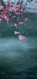 Cherry blossoms hanging over misty lake.