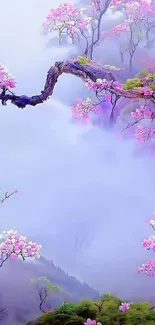 Cherry blossom branches with pink flowers in a misty landscape.