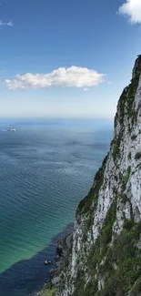 Cliffside ocean view with clear blue sky and lush greenery.