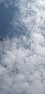 Mobile wallpaper of fluffy clouds against a blue sky.