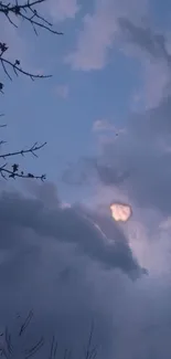 Serene cloudy sky with branches at dusk.